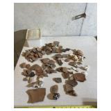 Old artifacts and seashells