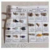 Rock Hounds Fossil & Rock Collection