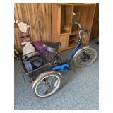 Raleigh electric tricycle with battery and