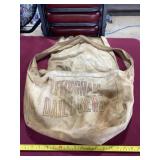 Effingham Daily News delivery bag.