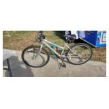 Road Master Mt. Furry Bike