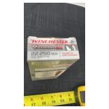 Winchester Varment X 22ï¿½250 REL 55 gr 40