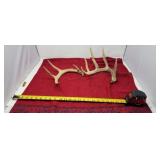 Antler Sheds