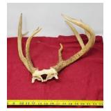 8 Point NON Typical Rack