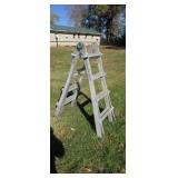 Costco aluminum multi-position ladder.