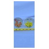 Butterfly paper weights