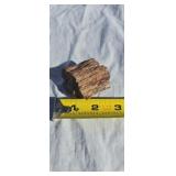 Small piece of petrified wood