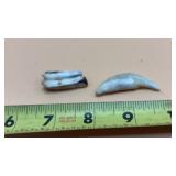 canine tooth, & fossilized bison tooth.