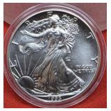 1993 UNC  Silver Eagle 1oz. Fine Silver Bullion