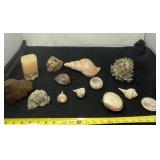 Seashell candles, drift wood, sea shell keepsake