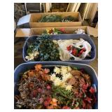 Two boxes and two totes with lids full of