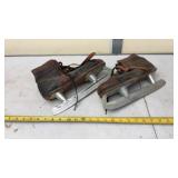Ice Skates