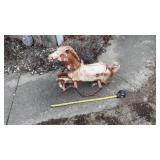 Wonder Horse spring rocking horse,