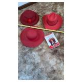 Red Hat Society, 3 Hats and Book
