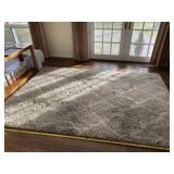 6 x 9 Safavieh Hudson Shag rug.