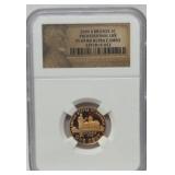 2009 S bronze professional life penny