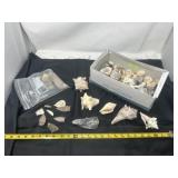 Box of Sea Shells