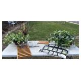 artifical plants with wooden signs and family