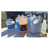 Clorox bleach, windshield washer fluid, windex,