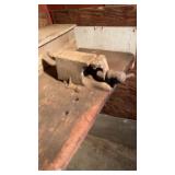 Old Vice needs removed