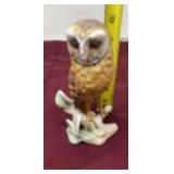 Goebel  barn owl , West Germany