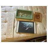 Whale pictures and starfish with prayer picture