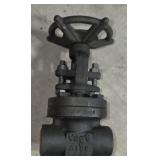New Vogt Gate Valve 3/4"