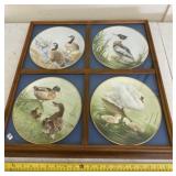 Water Bird Collector Plates Framed 23 x 23