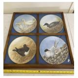 Framed Water Bird Collector Plates 23" x 23"