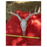 Deer head with Antlers