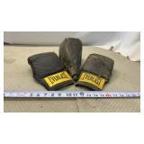 Everlast Boxing Gloves, Bag and hanger