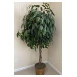 80" Tall Artificial Mango Bush