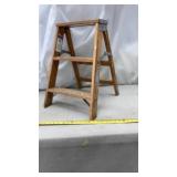 Werner Step Ladder