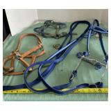New Bridle and Two Used Halters