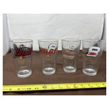 Dale Jr. NASCAR Cups
