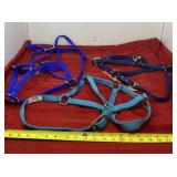 Three New Halters