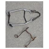 Two Horse Bits