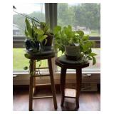 Two Wood Tables with Live Plants