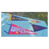 Illinois University Pennant from the '60s Duluth