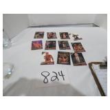 2010 Wrestling Trading Cards