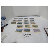1991 Desert Storm Trading Cards