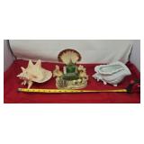 Queen Conch Shell, Shell Decor