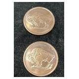2 2012 Buffalo Copper Coins