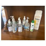 Hand sanitizer with lotion
