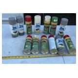 Spray Paint