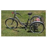 Schwinn Meridian Bicycle with Basket has flat