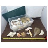 Tote of Seashells