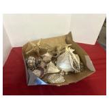 Seashells