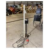 Wayne 1/3 hp Cast Iron Pedestal Sump Pump