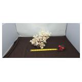 Natural Dried White Coral